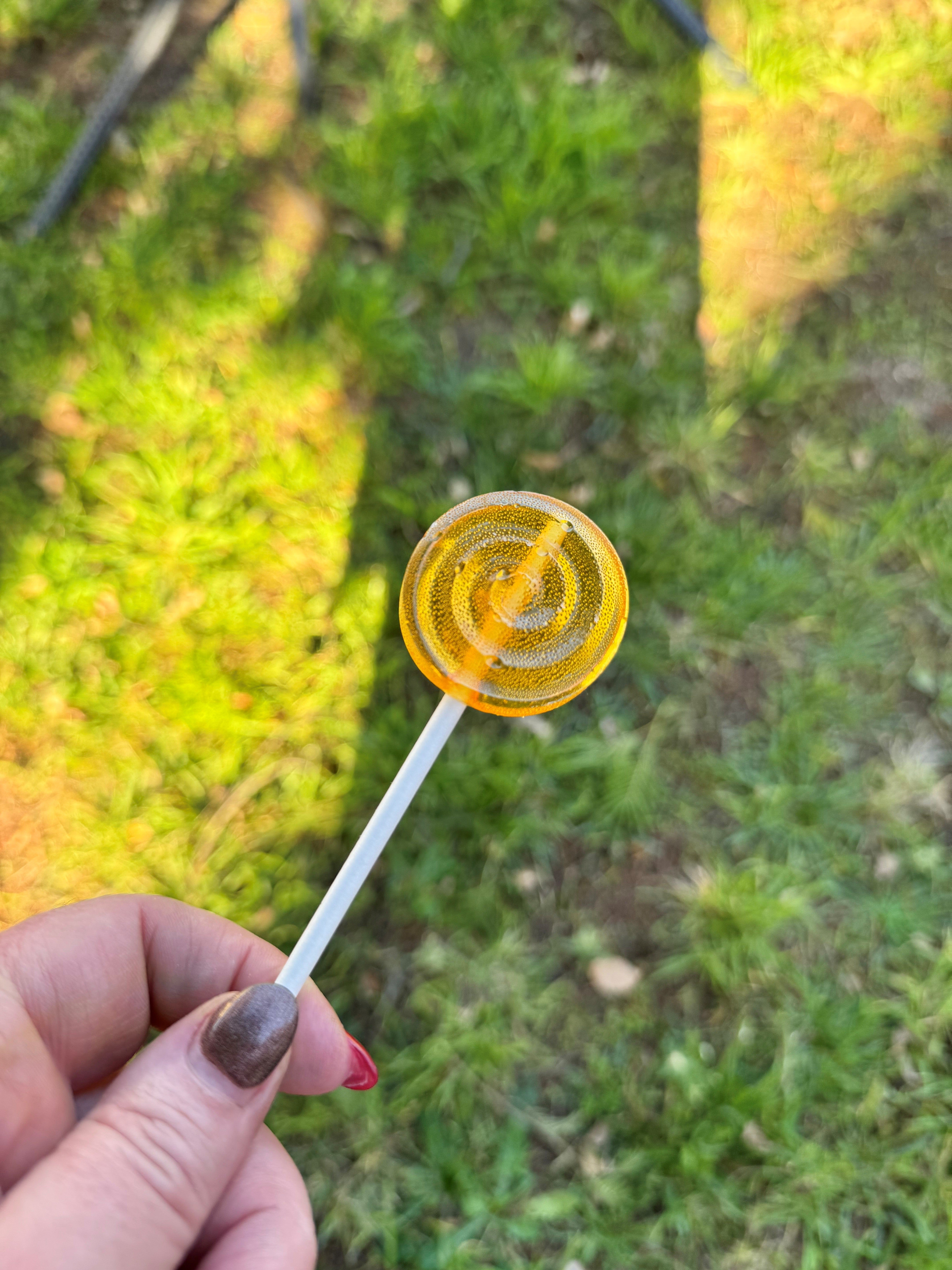 Honey Pops - Pack of 10