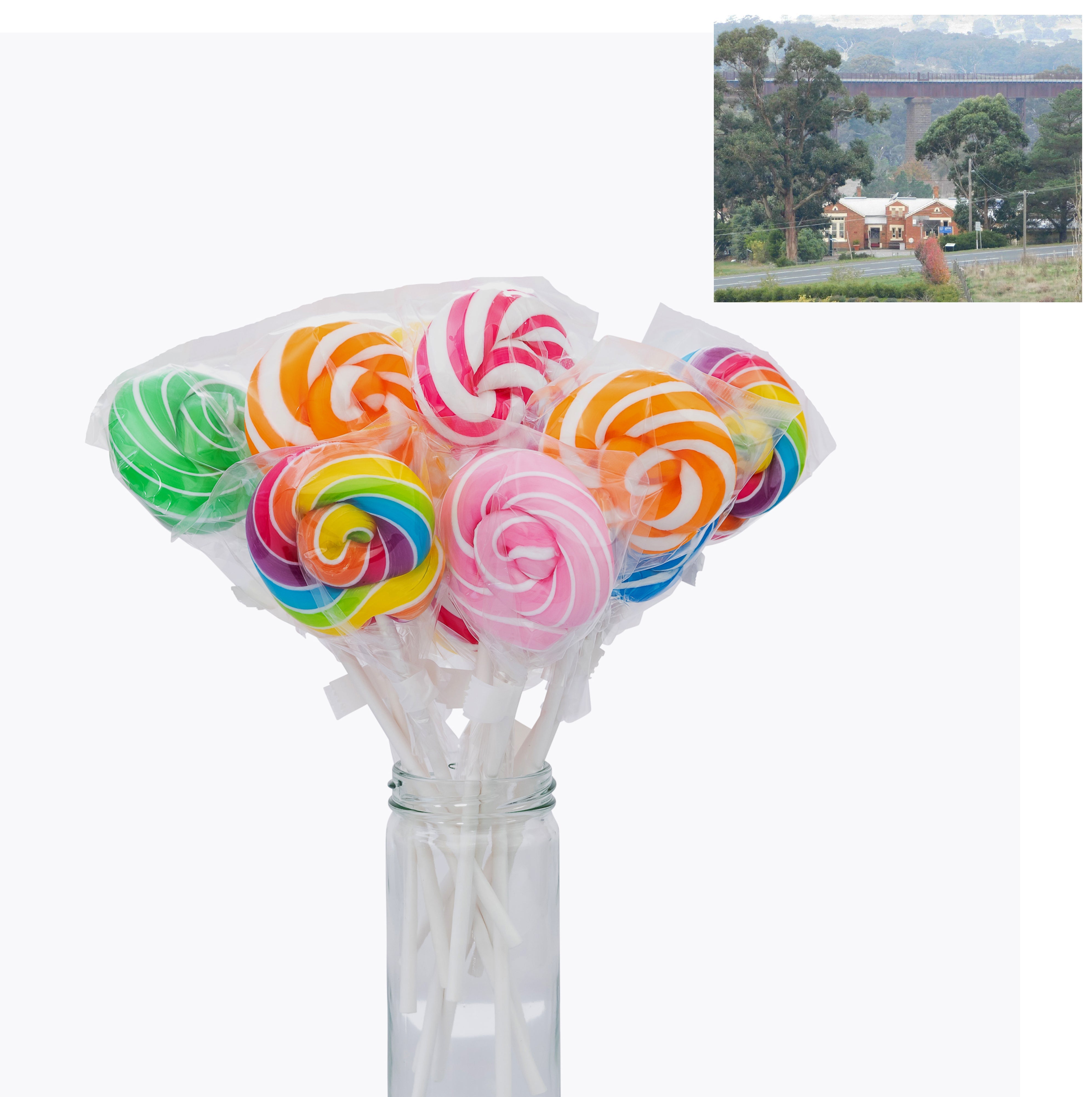 Taradale PS Fundraising Bundle 1